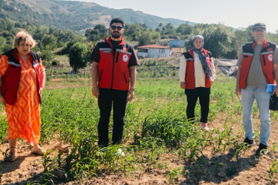 Yalova'da yem bitkisi üreticileri denetlendi
