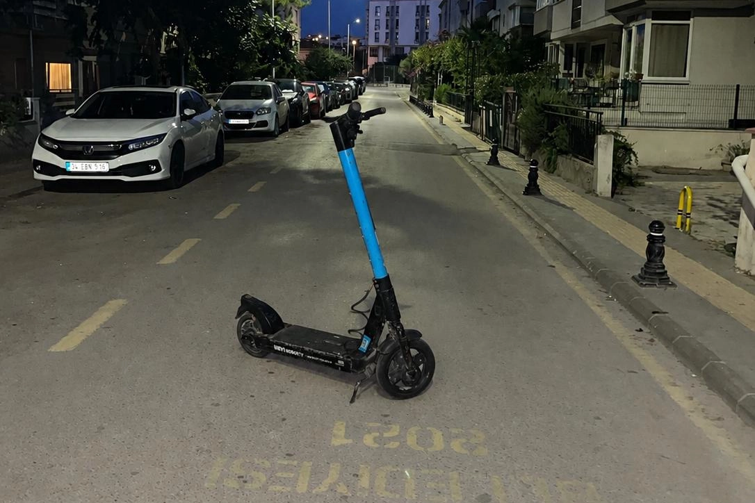 Yalova’da vatandaştan martı tepkisi