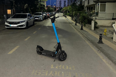Yalova’da vatandaştan martı tepkisi