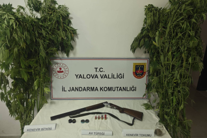 Çiftlikköy’de seraya uyuşturucu baskını! 2 gözaltı