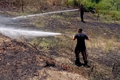 Yalova İtfaiyesi ev, arazi ve kulübe yangınlarına müdahale etti