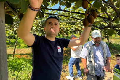 İlmeç, Kocadere'de incelemelerde bulundu