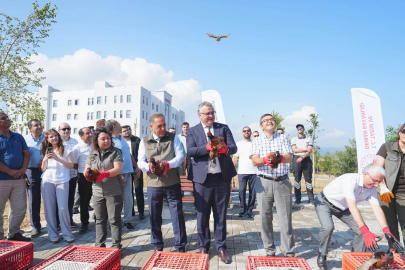 Yüzlerce sülün doğaya salındı
