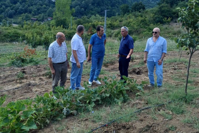 Üretim sürecine saha denetimi