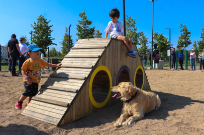 Yalova'da patili dostlara özel Pati Park açıldı