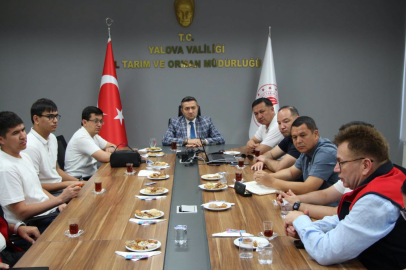 Özbekistan heyeti Yalova’da inceleme yaptı