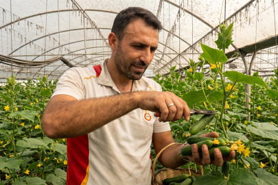 Çiftçiler desteklemelerden mutlu