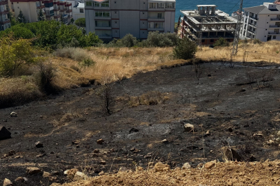 Armutlu’da arazi yangını evlere sıçramadan söndürüldü