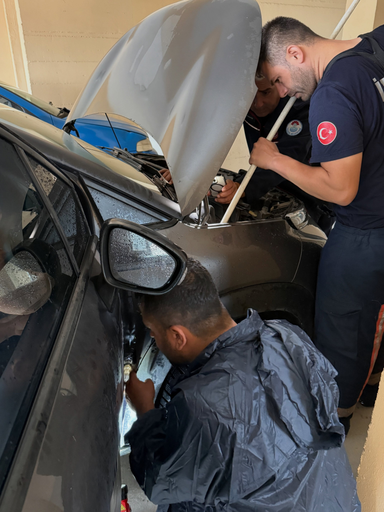 Yalova’da kaputa sıkışan kediyi kurtarmak için ekipler titizlikle çalıştı