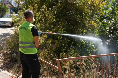 Çınarcık Belediyesi'nden İlçe Genelinde İlaçlama