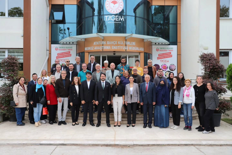 Üzümsü meyveler uluslararası rekabete açılıyor.