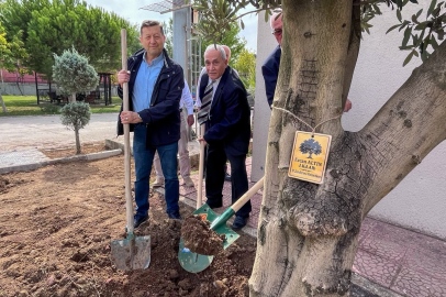 KONSİAD, Jandarma Komutanlığının bahçesine zeytin ağacı dikti