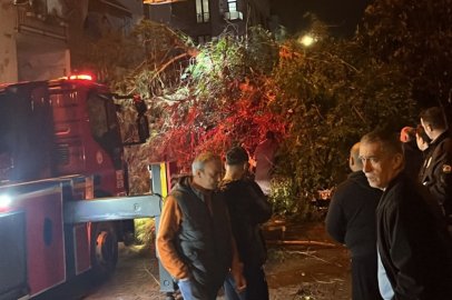 Yalova’da yoğun yağış sonrası ağaç park halindeki aracın üzerine devrildi!