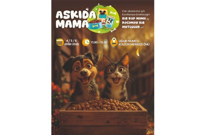 Yalova’da Patili dostlar için ‘Askıda Mama’ dayanışması