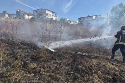 Yalova’da arazi yangını!