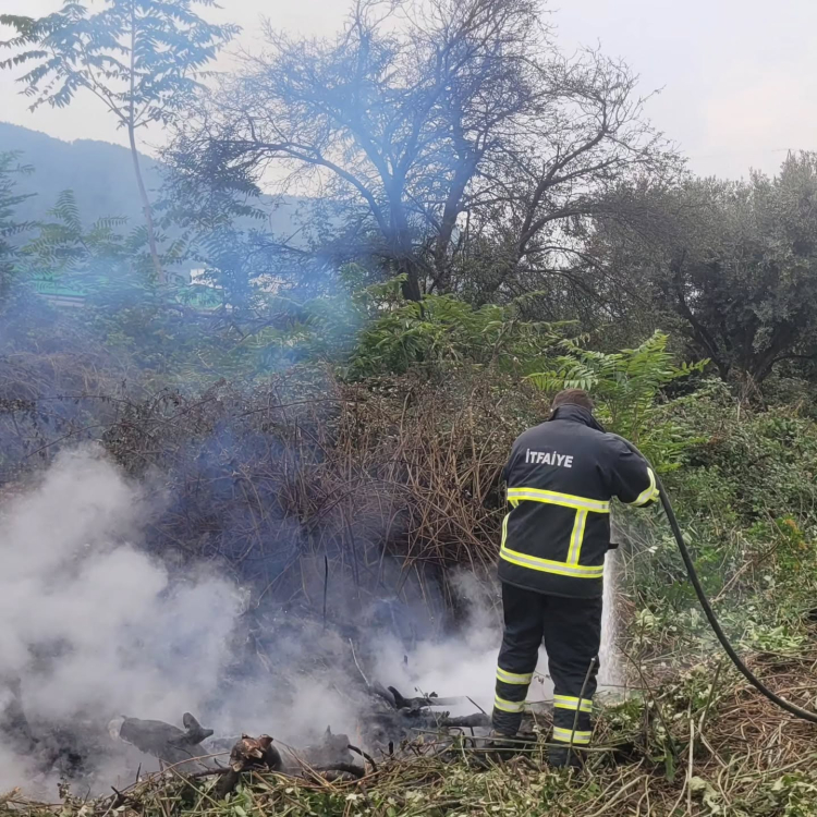 Yürekleri ağza getiren yangın bugün sabah saatlerinde Yalova- Kocaeli yolu üzeri Taşköprü Beldesi’nde meydana geldi. 