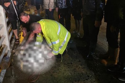 Armutlu’da yağmur faciasının durmasını isteyen vatandaşlar kurban kesti!