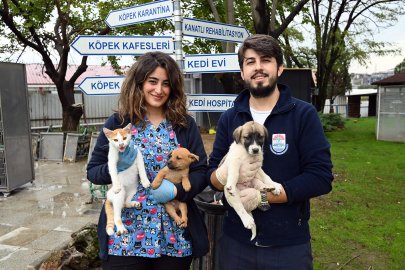 Yalova Belediyesi’nden can dostlara dört mevsim destek