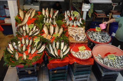Yalova’da balık fiyatları ne kadar? Tezgahlarda son durum…