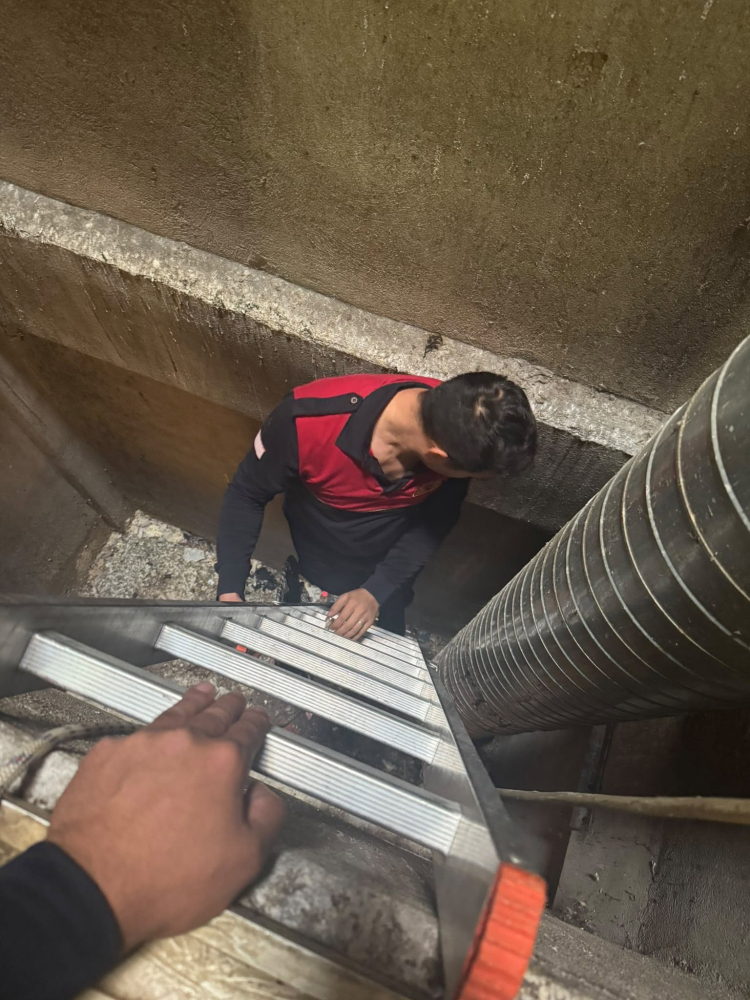 Sokak hayvanı Yalova İtfaiye Müdürlüğü ekiplerinin titiz ve şefkatli müdahalesiyle güvenli bir şekilde kurtarılarak doğal yaşam alanına bırakıldı. 