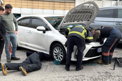 Yalova’da yavru kedi aracın kaputunda mahsur kaldı!