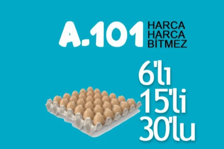 A101 Yumurta Fiyatı 2023 – 10 lu-15 li-30 lu koli ne kadar?