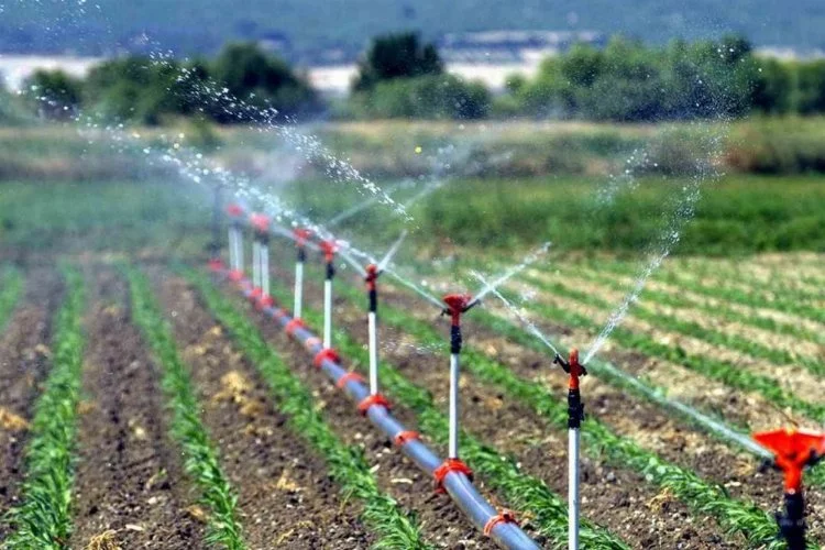 Çiftçilerin su faturasına devlet desteği