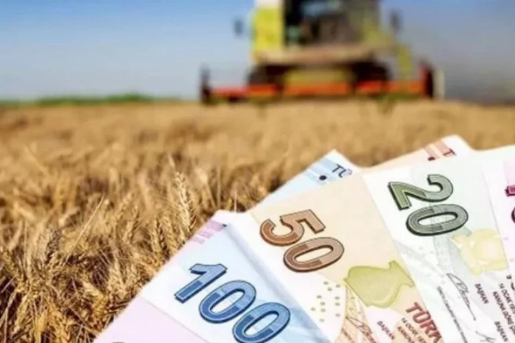 Çiftçilerin tarımsal destek ödemesi miktarı belli oldu