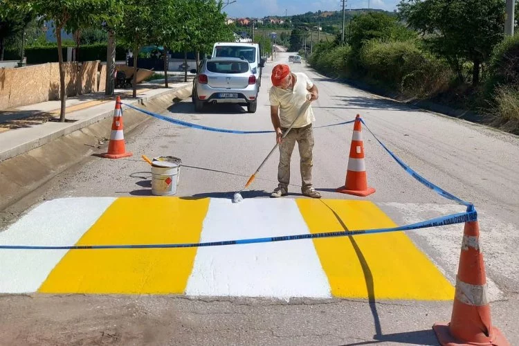Kadıköy’de kasis renklendirme faaliyetleri yürütülüyor
