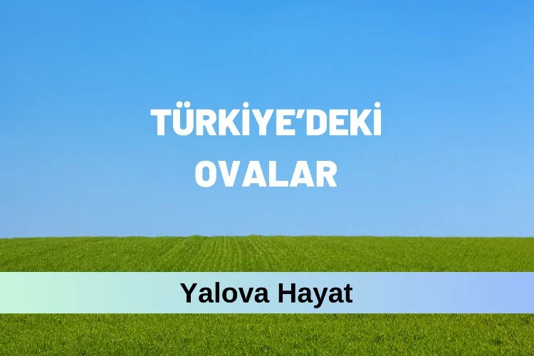 Türkiye’nin ovaları nelerdir? İsimleri, Yerleri ve Özellikleri