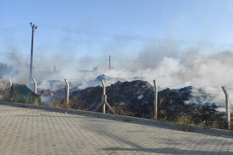 Yalova Altınova’daki yangın korkuttu