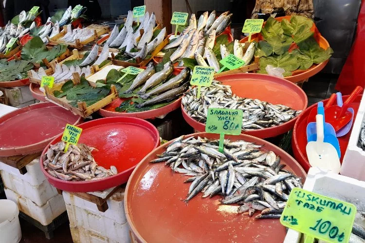 Yalova’da balık fiyatları ne kadar? Yalova’da hamsi bol mu? Tezgahlarda balık bollaşacak mı? Balık fiyatları düşecek mi?