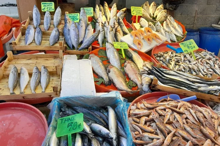 Yalova’da balık fiyatları ne kadar? Yalova’da hamsi ne kadar oldu? Tezgahlarda balık bol mu? Balık fiyatları yükseldi mi? Palamutun tanesi ne kadar oldu?