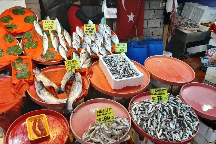 Yalova’da balık fiyatları ne kadar? Yalova’da hamsi ne kadar oldu? Tezgahlarda balık bollaşacak mı? Balık fiyatları düşecek mi? Palamut ve çinekop çıktı mı?