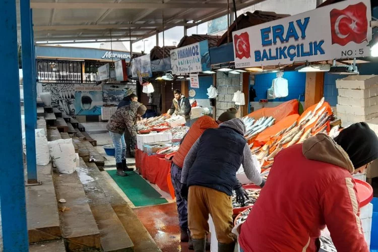 Yalova’da balık fiyatlarında düşüş var mı? Yalova’da hamsinin fiyatı aynı mı kaldı? Tezgahlarda balık çeşitliliği ne durumda? Balık fiyatları yükseldi mi? Tezgahlarda en çok hangi balık türü var?