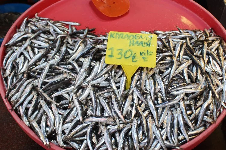Yalova’da Ramazan ayı balık fiyatlarını nasıl etkiledi?
