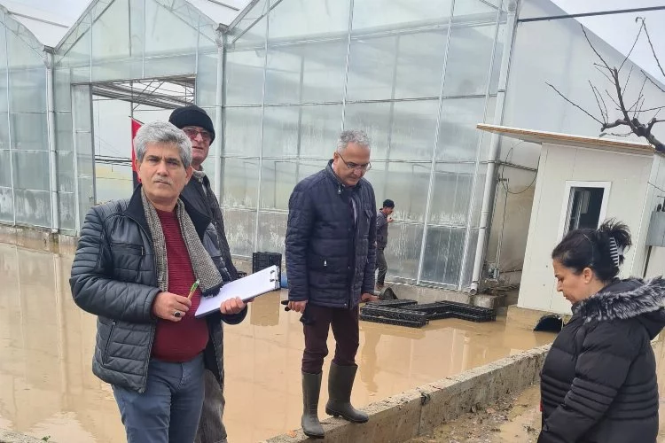 Yalova'da tarımsal alanlarda hasar tespiti başladı