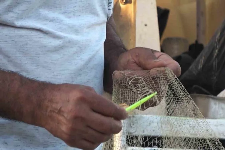Yalova'da balıkçıklar  hamsiden umutlu