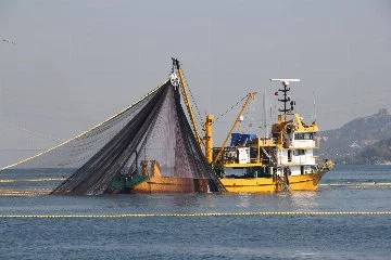 Yalova İl Müdürü Parıldar'dan balık avı yasağı uyarısı